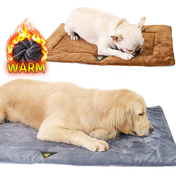 Self-Warming Pet Mat: The Ultimate Winter Comfort for Your Furry Friend - IHavePaws