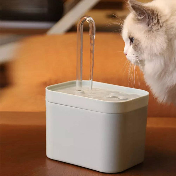 Ultra-Quiet 1.5L Water Fountain for cats and dogs - IHavePaws
